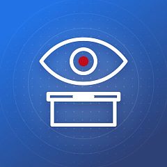 СНОВА — система наблюдения за выборами